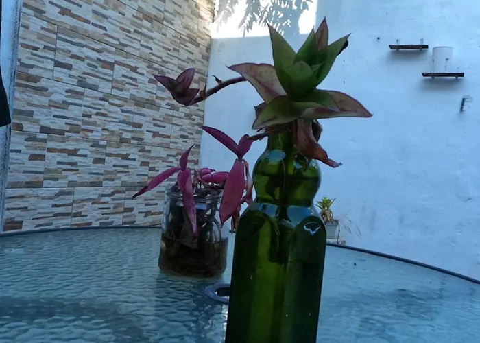 Сasa de vacaciones Casa Atardecer - Privada Olivos